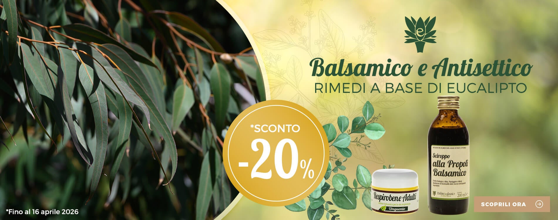 Prodotti e rimedi naturali con Eucalipto erboristeria Erbecedario