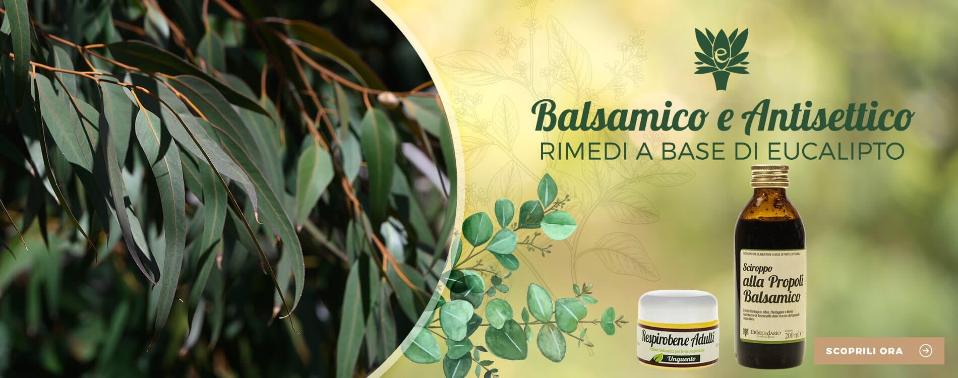 Prodotti e rimedi naturali con Eucalipto erboristeria Erbecedario