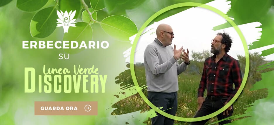 Erbecedario Linea Verde Discovery Rai Uno 1 giugno 2024