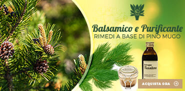 Vendita online prodotti naturali con Pino Mugo erboristeria Erbecedario