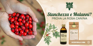 Vendita online prodotti naturali con Rosa Canina erboristeria Erbecedario