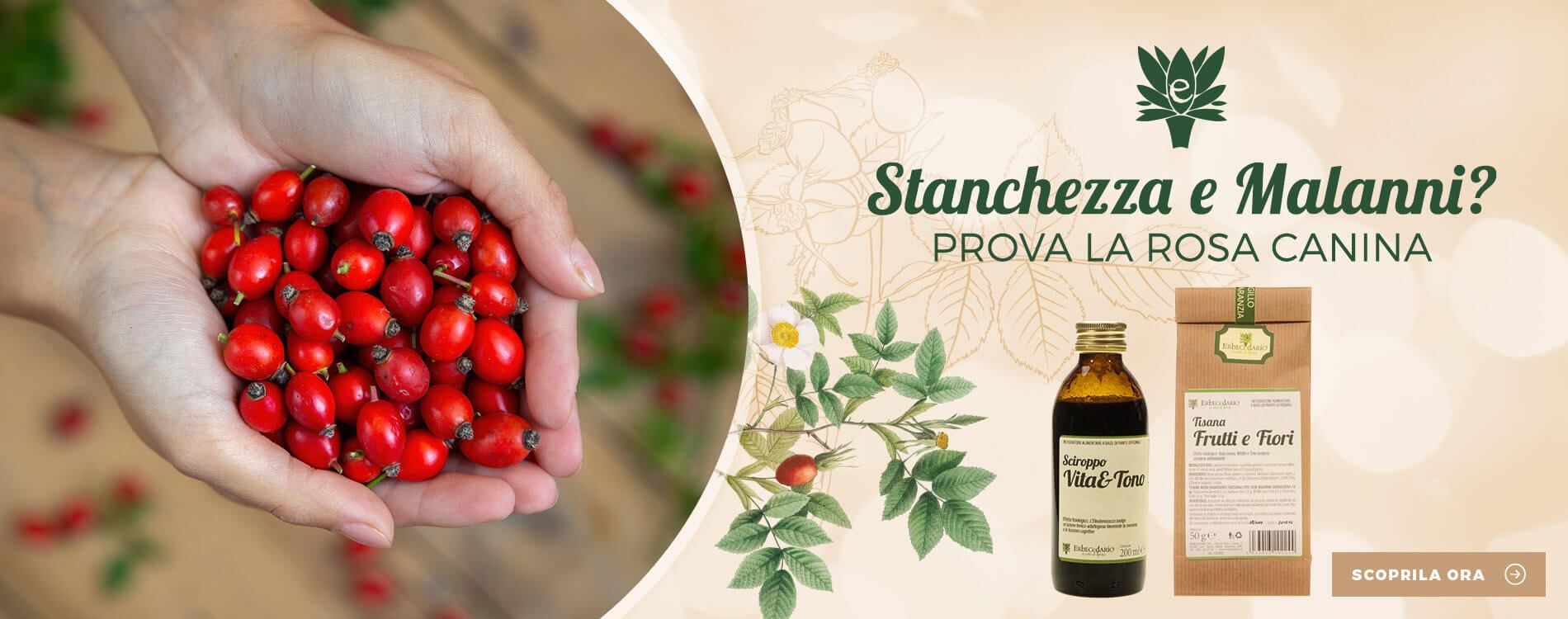 Vendita online prodotti naturali con Rosa Canina erboristeria Erbecedario