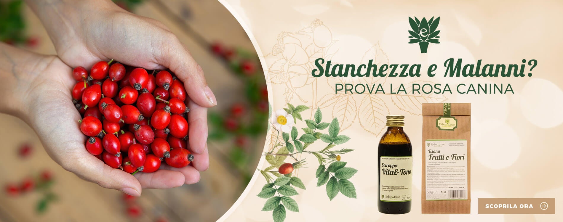 Vendita online prodotti naturali con Rosa Canina erboristeria Erbecedario