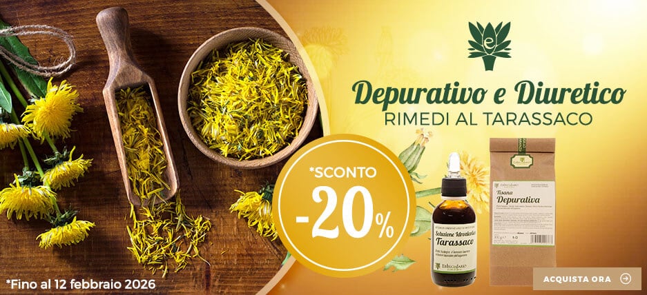 Prodotti naturali con Tarassaco erboristeria Erbecedario per depurazione corpo