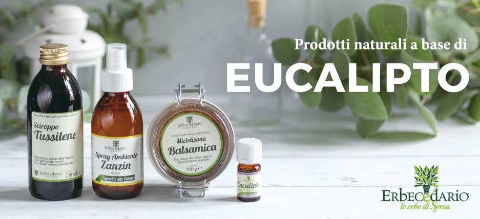 Prodotti e rimedi naturali con Eucalipto erboristeria Erbecedario