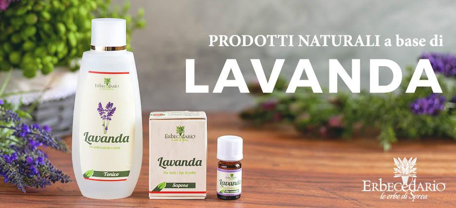 Vendita online prodotti naturali Lavanda erboristeria Erbecedario