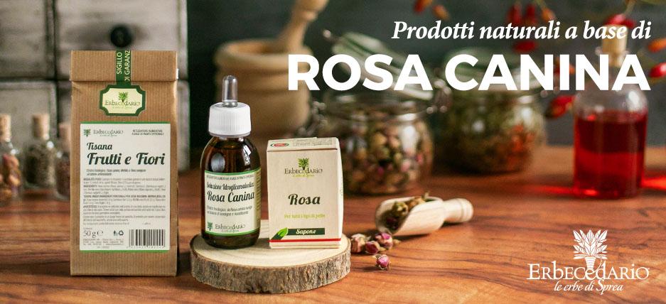 Vendita online prodotti naturali con Rosa Canina erboristeria Erbecedario