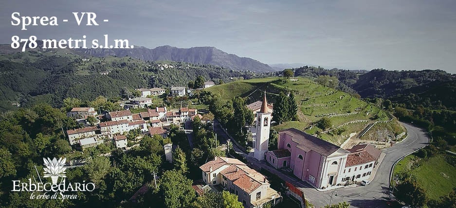 Chi siamo: Erboristeria Erbecedario Sprea (Verona)