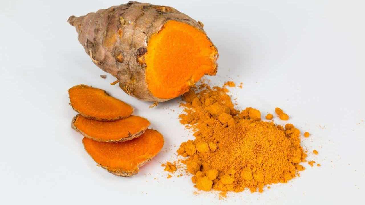 Curcuma pianta, foto e immagini