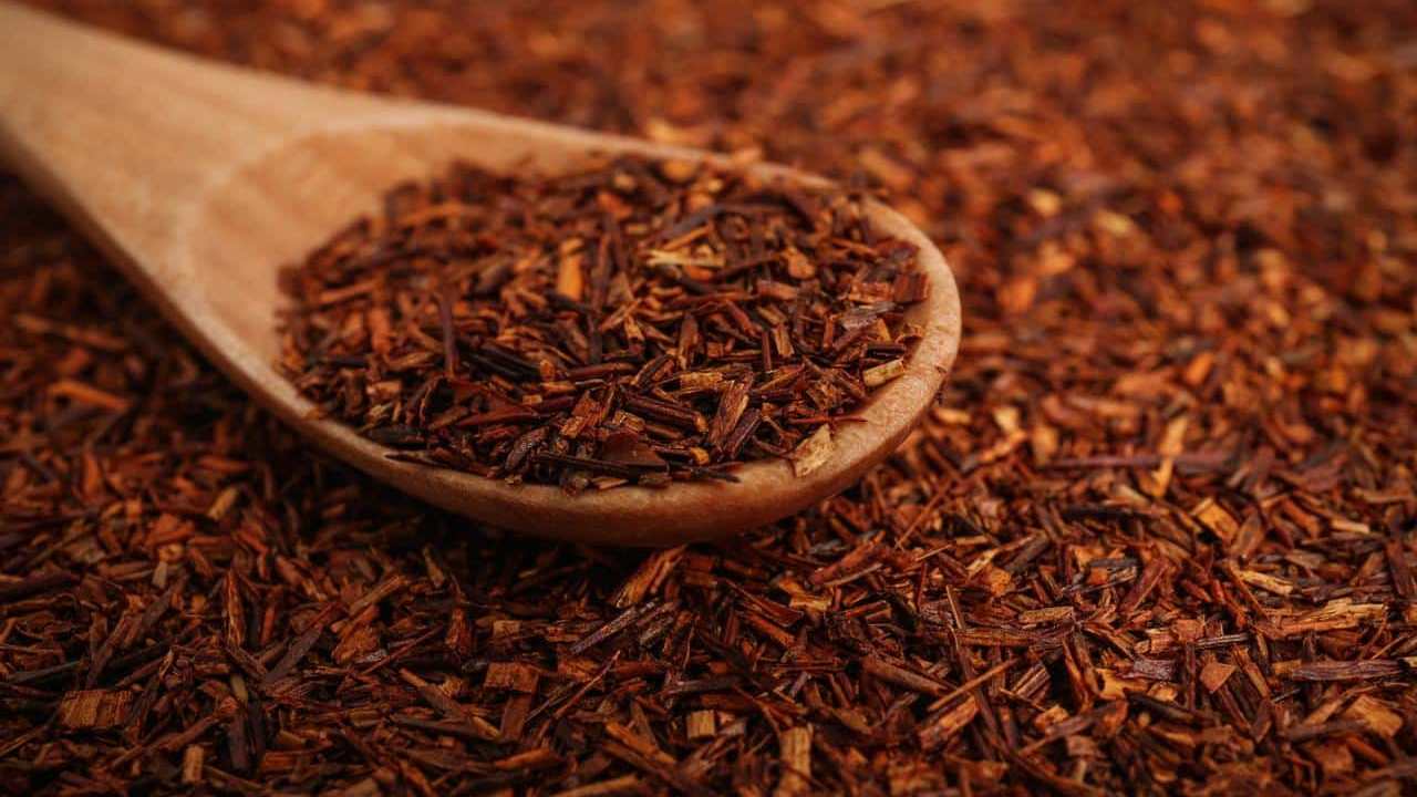 Tè Rosso Rooibos o Aspalathus Linearis foto e immagini 